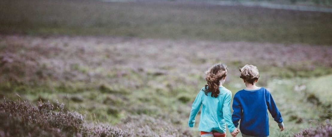 Walking in the New Forest National Park