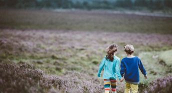 Walking in the New Forest National Park