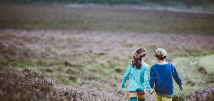 Walking in the New Forest National Park