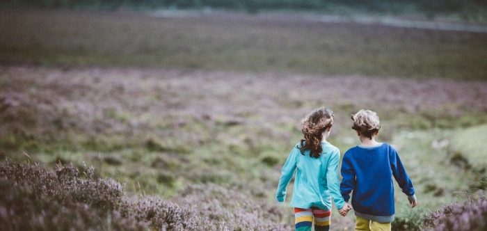 Walking in the New Forest National Park