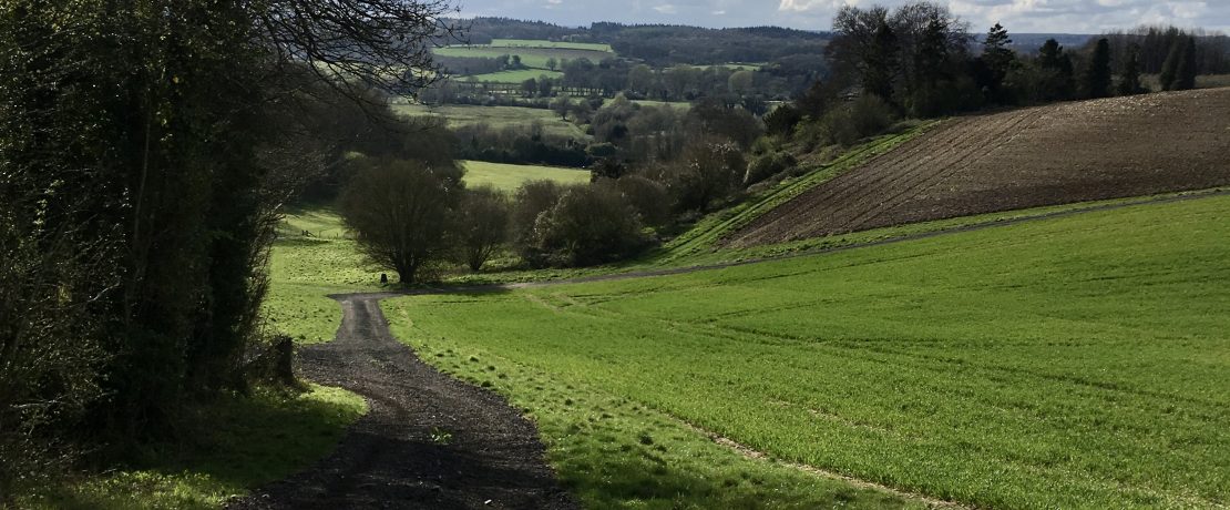 Near King's Somborne Test Valley Hampshire