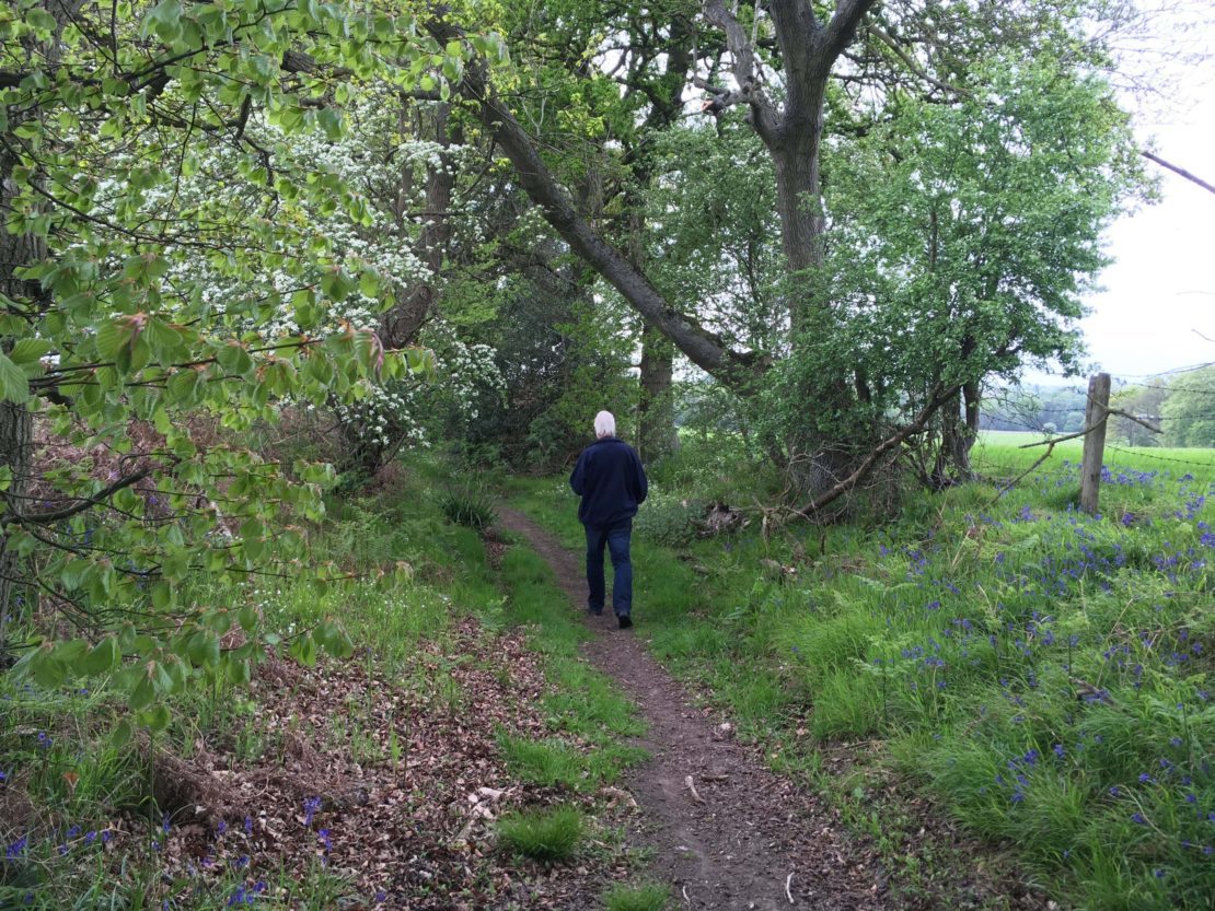North East Hampshire