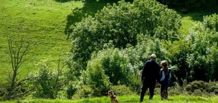 Campaigning for a South Hampshire Green Belt