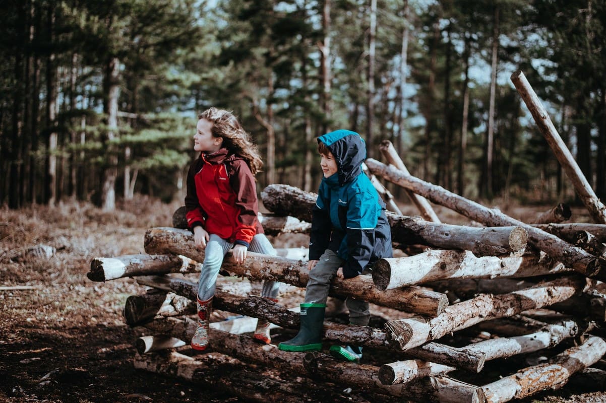 Children climbing in the New Forest