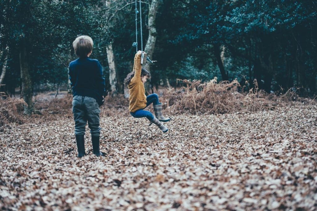 Children in the New Forest playing on a swing