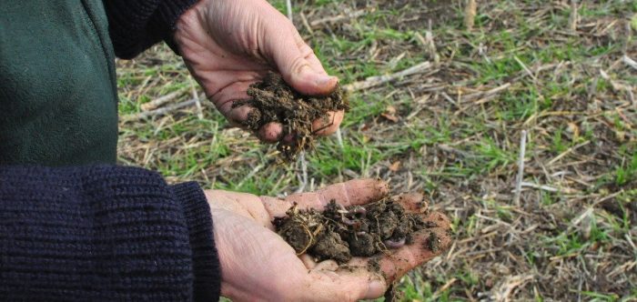 Farmer looking at soil