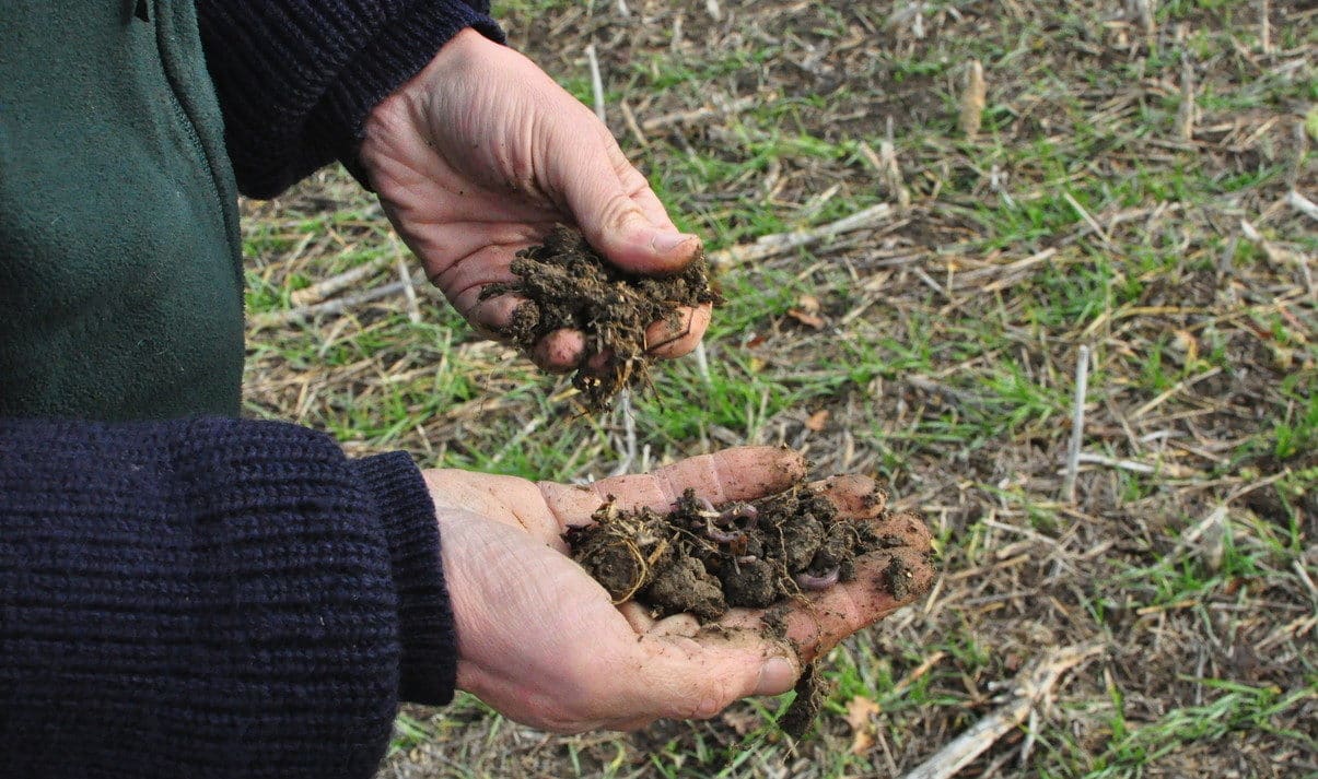 Farmer looking at soil