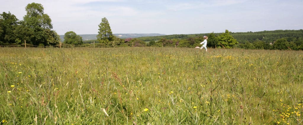 Girl running in a meadow