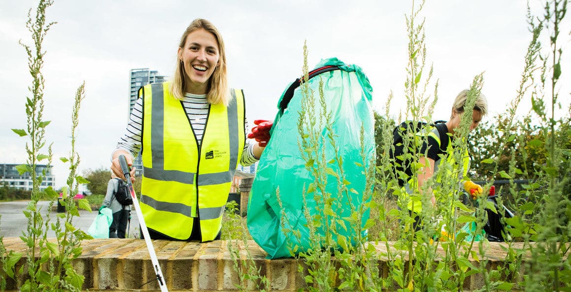 Clean up litter pick