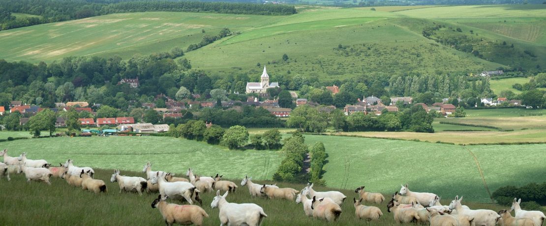 South Downs and Central