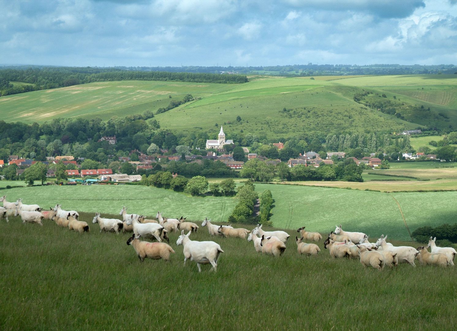 East Meon, South Downs National Park