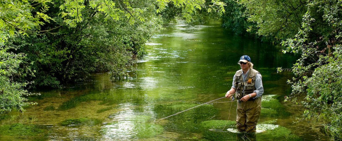 Life of a Chalkstream
