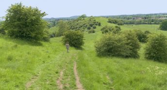 Walking walking in the countryside