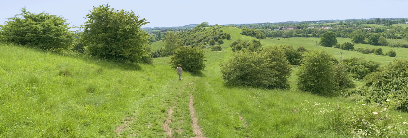 Walking walking in the countryside