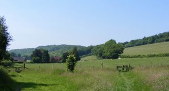 South Downs National Park