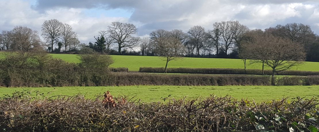 Countryside saved at Bishopstoke, Eastleigh