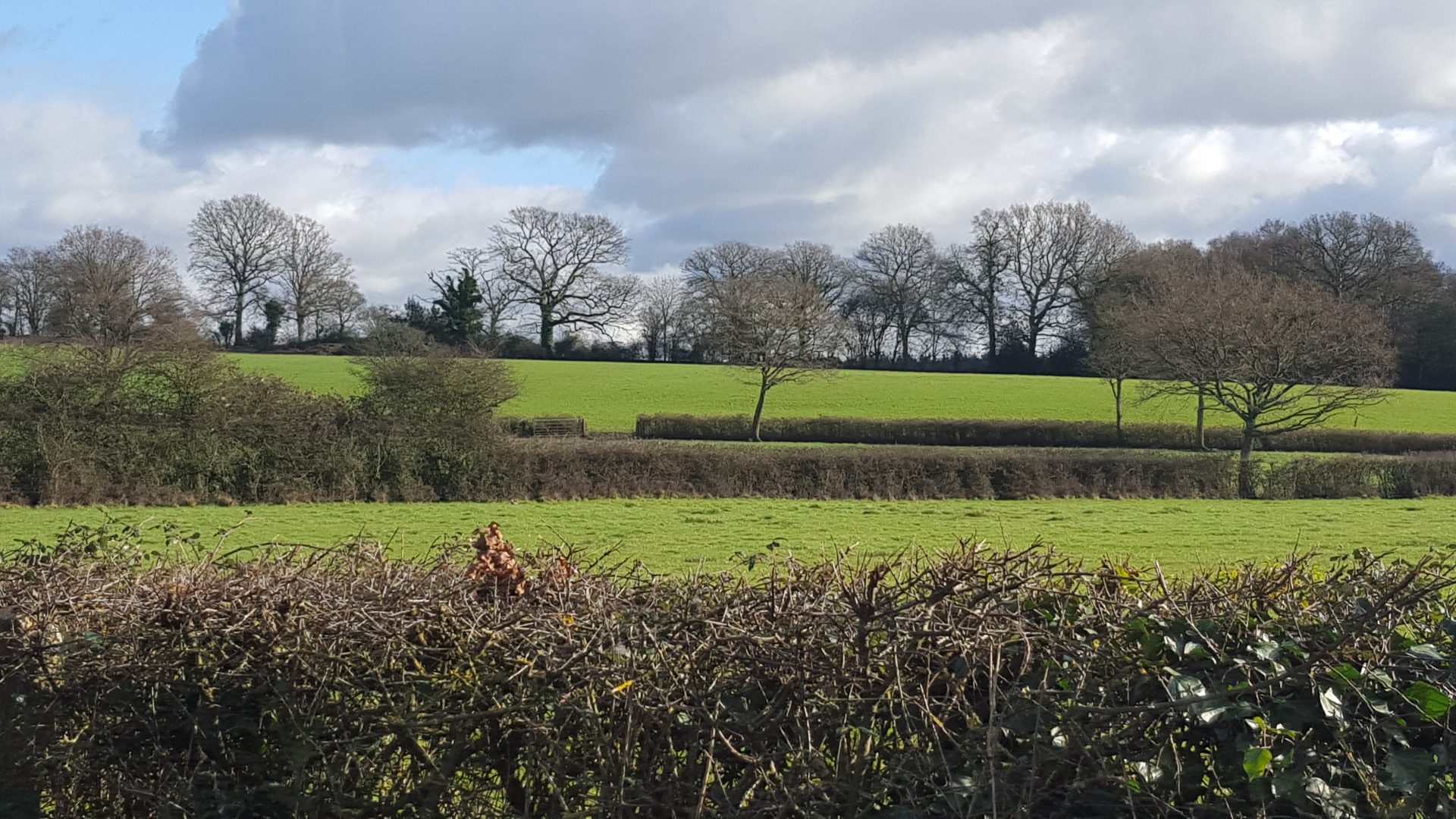 Countryside saved at Bishopstoke, Eastleigh
