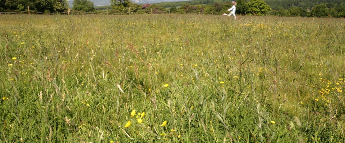 Girl running through meadow Adam Swaine