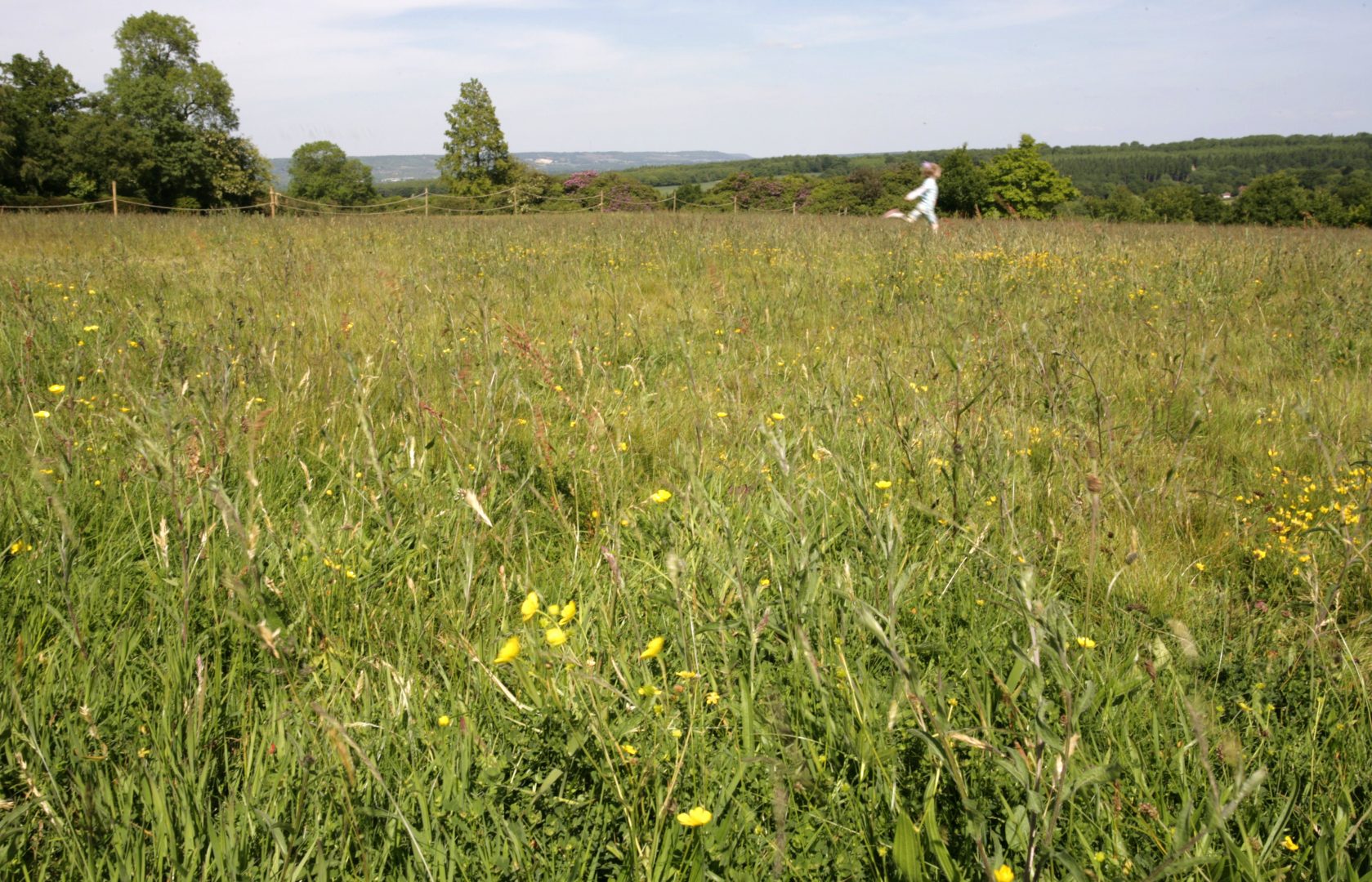 Girl running through meadow Adam Swaine