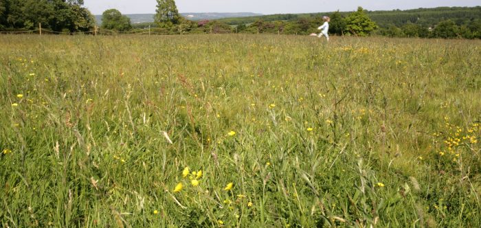 Girl running through meadow Adam Swaine