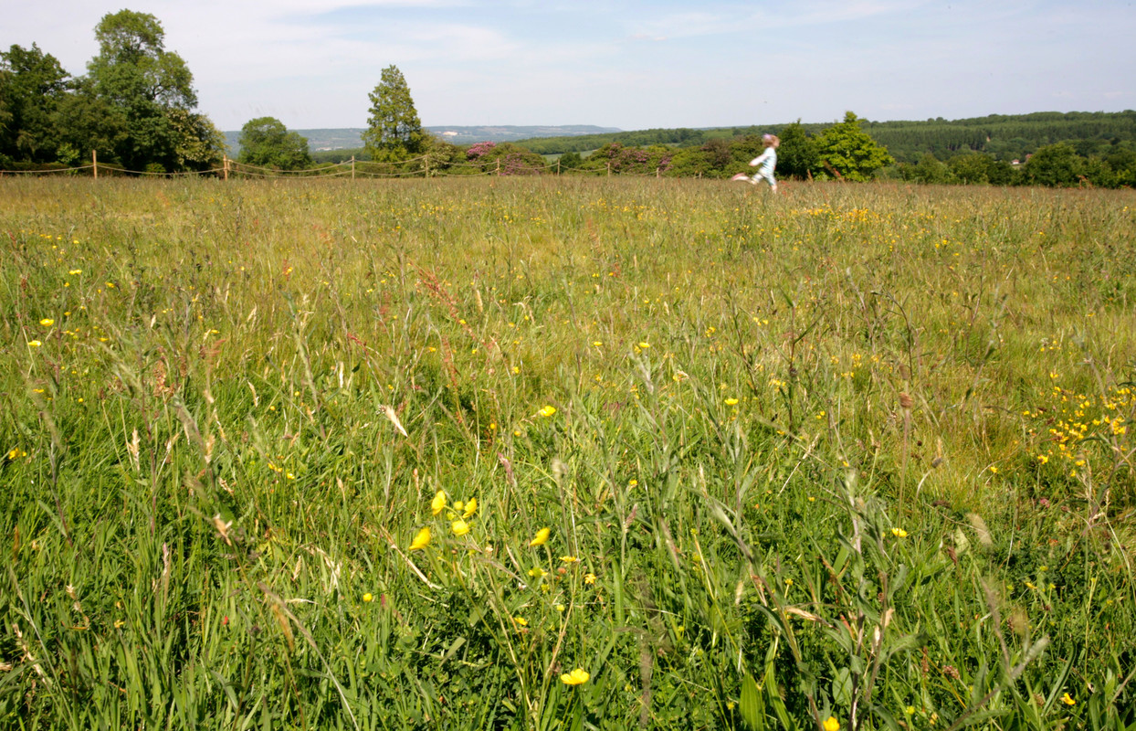 Girl running through meadow