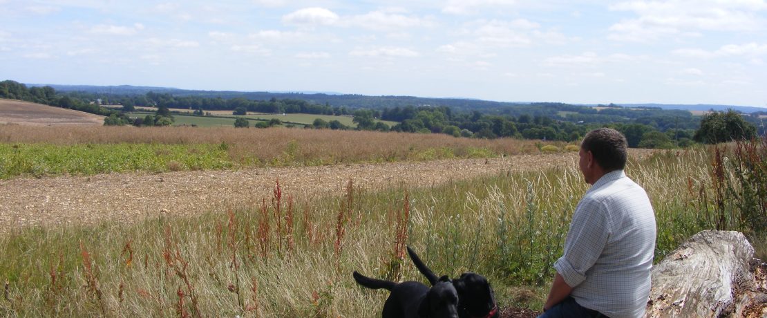 Valued Landscape - area north of the A31