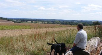 Valued Landscape - area north of the A31