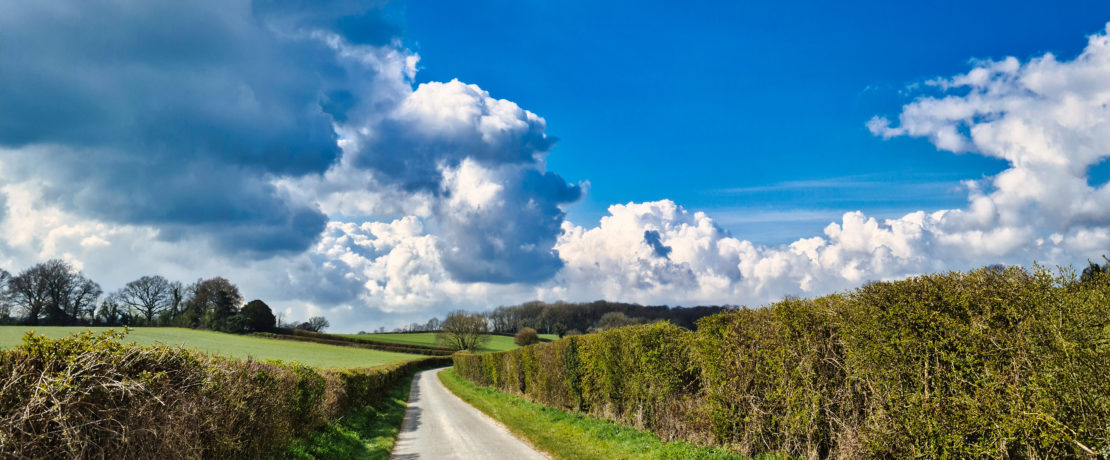 Photo of hedgerows on a country lan