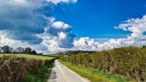 Photo of hedgerows on a country lan