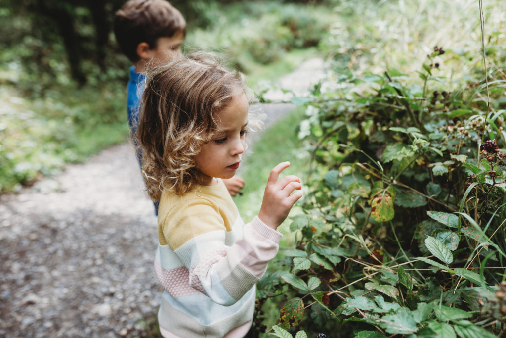 Image of children examining a hedgerow.