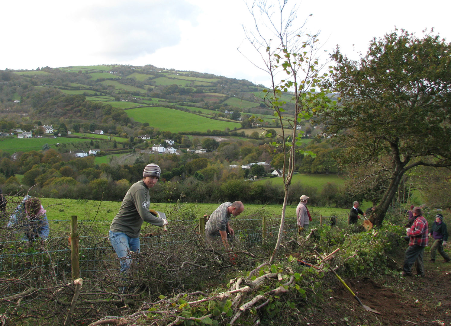 Image of people Hedgelaying.