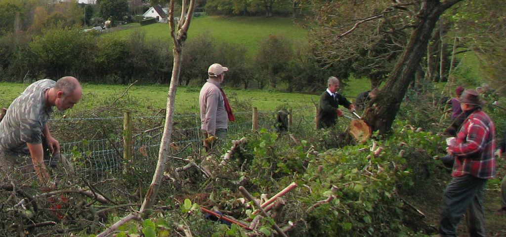 Image of people Hedgelaying.