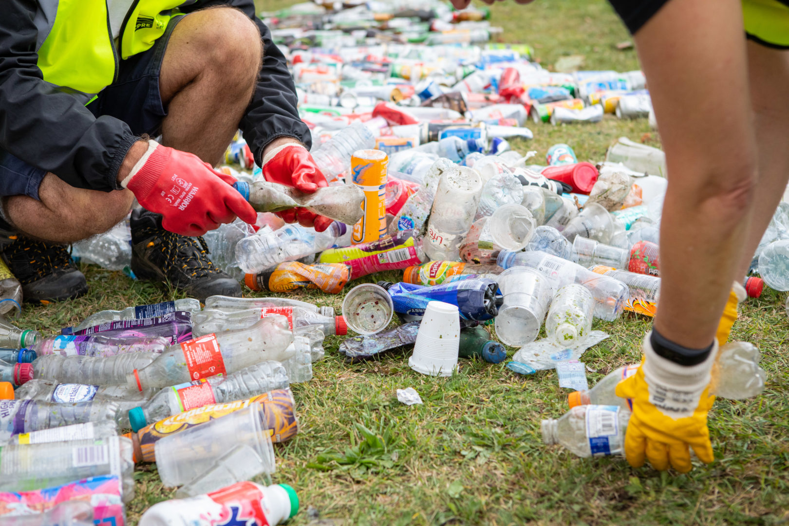 Photo of two people sorting litter.