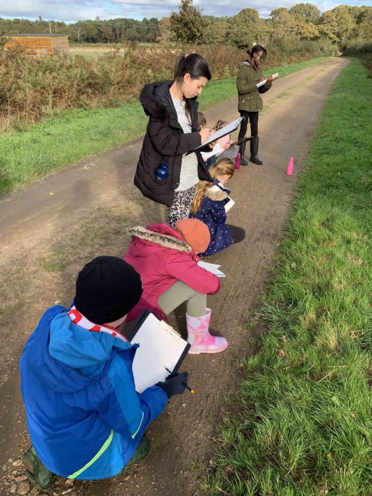 Photo of Bransgore Primary School pupils surveying hedges and recording their findings.