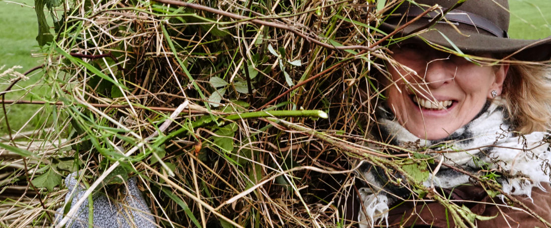 Photo of Dee Haas hedgelaying