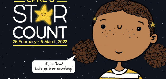 Front of Star Count Family Activity Pack
